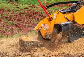 Best Aeration Services  in Suamico, WI