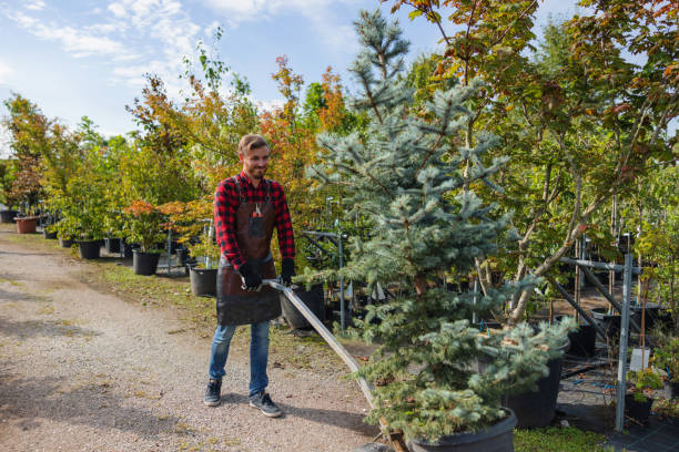 Best Commercial Tree Services  in Suamico, WI